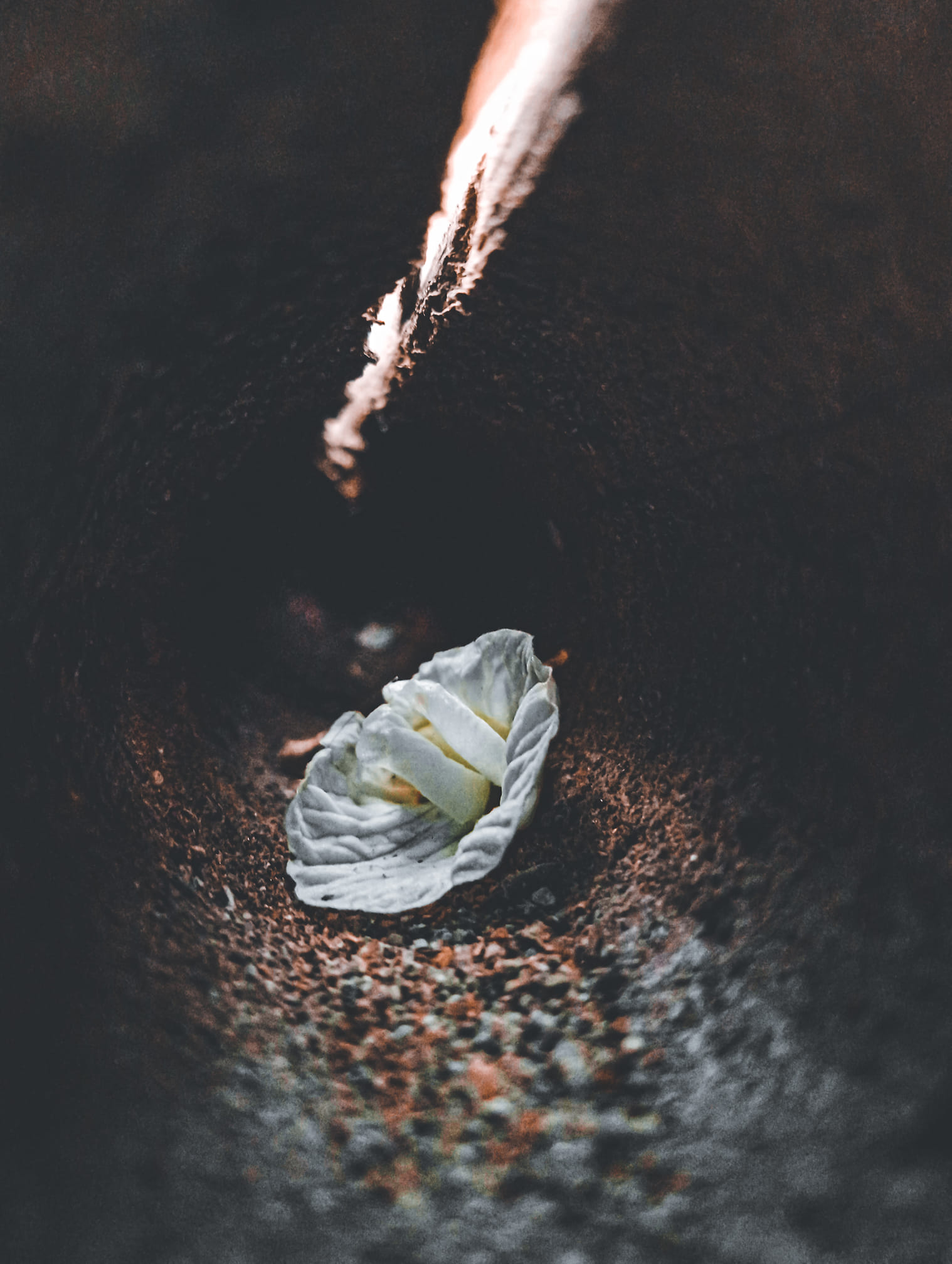 Photography by Subham